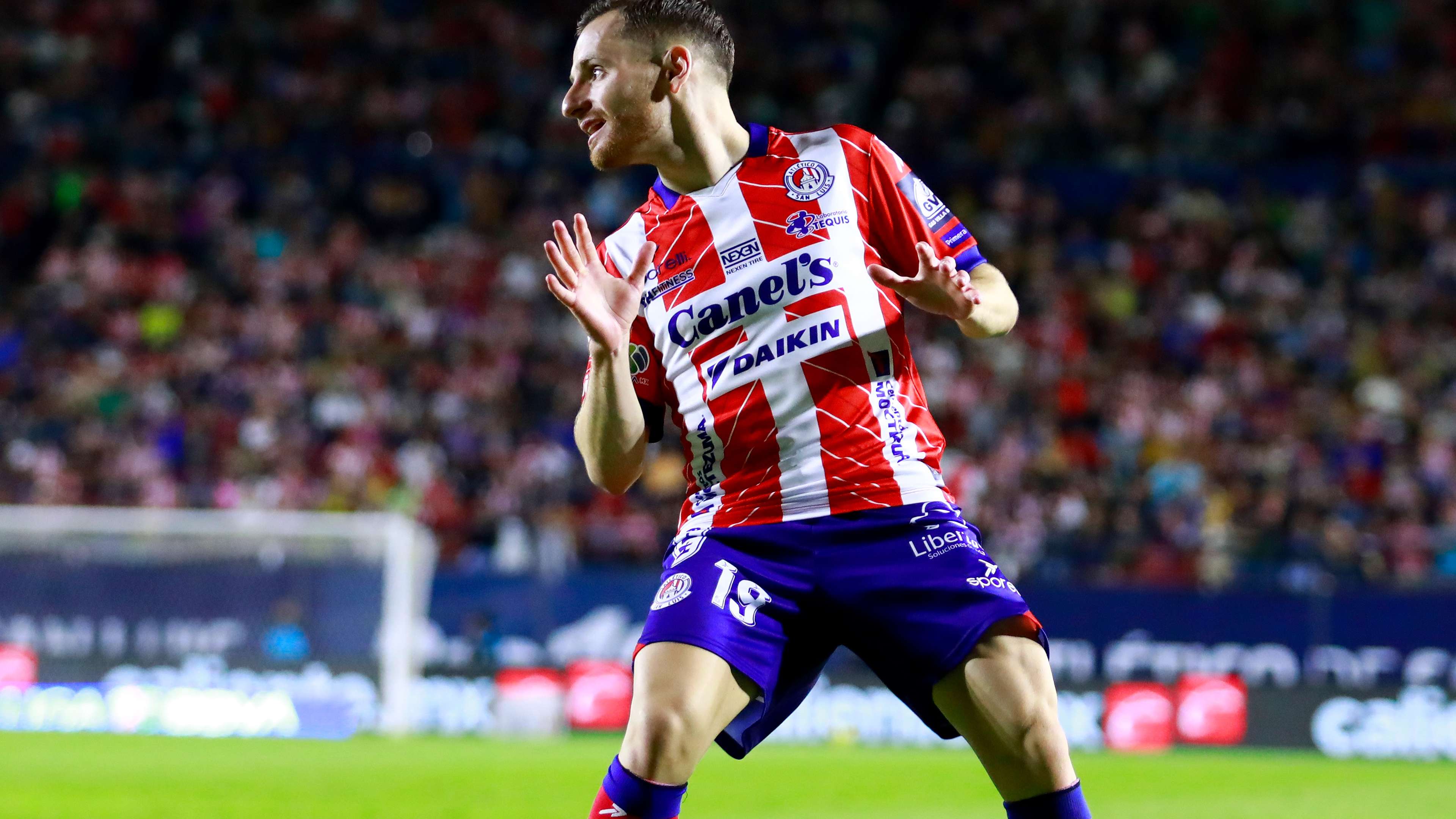 属于自己的 属于自己的