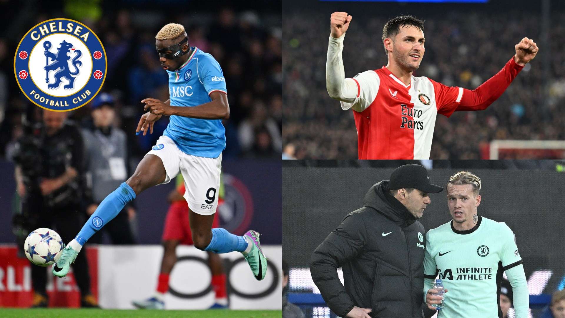 个性化的恢 个性化的恢